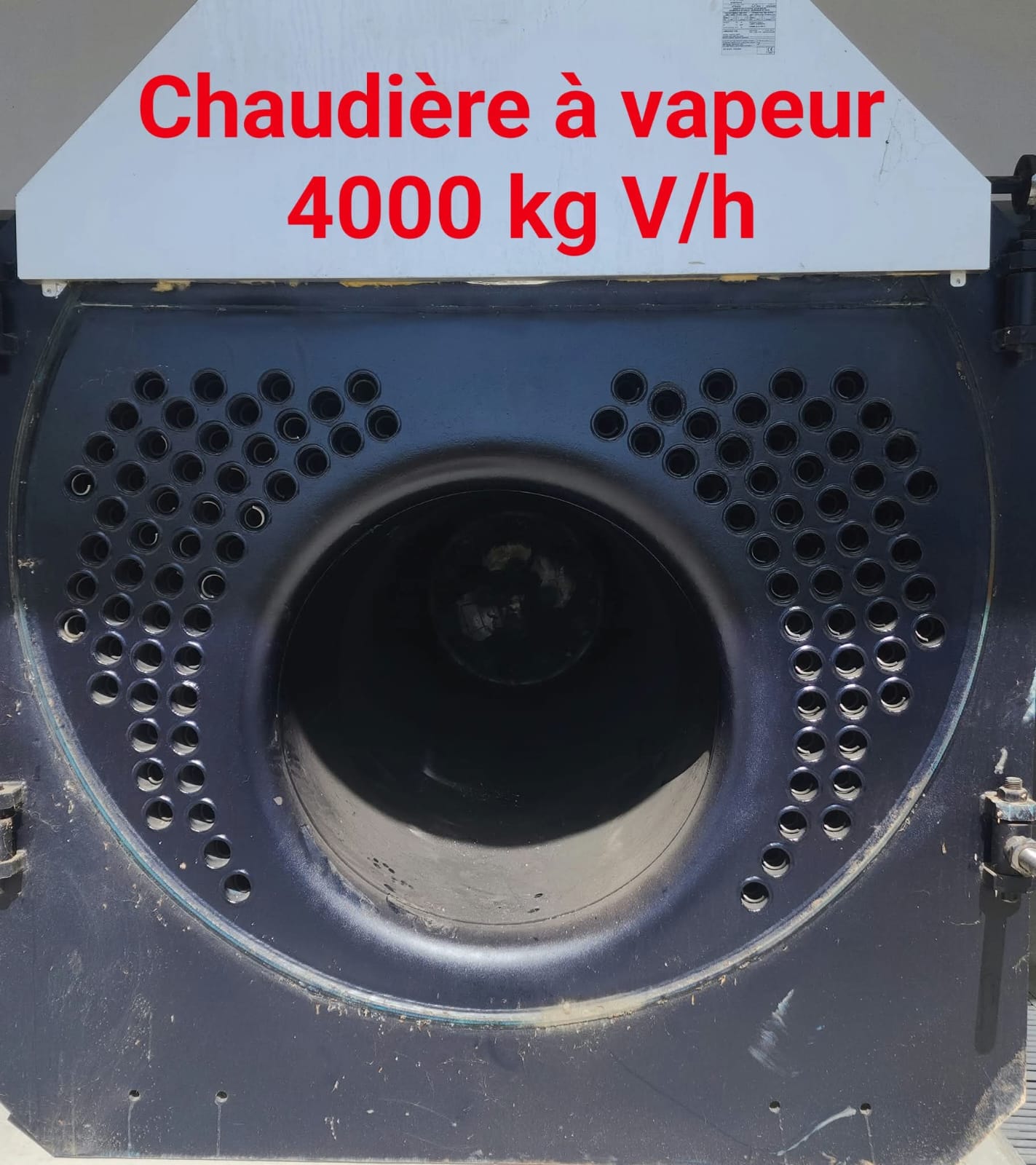 TECNOTERMICA /4000 kg v/h - photo 4